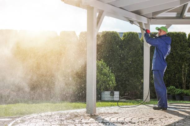 Best Window and Screen Pressure Cleaning in Sumner, IL